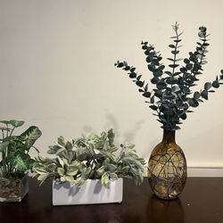 Fake Plants/Decor