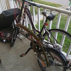 Citizen Miami fold up bicycle