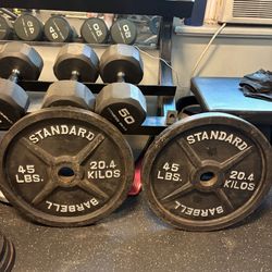 45 Pound 2” Olympic Weight Plates Pair