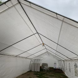 Carpas Carpas