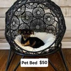 Pet Bed