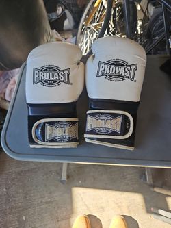 Prolast 14oz Boxing Gloves