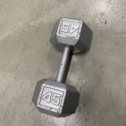 45lb Dumbbell - Single