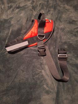 Medium/Large Dog Collars & Harness