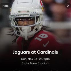 Arizona Cardinals VS Jaguars