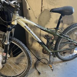 Schwinn Mountain Bike