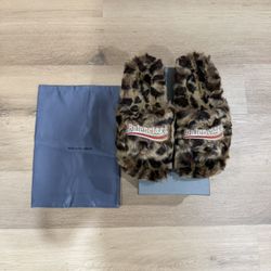leapord slides 