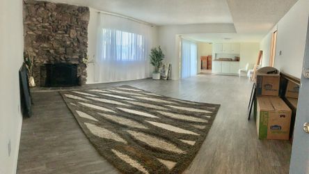 Big area rug