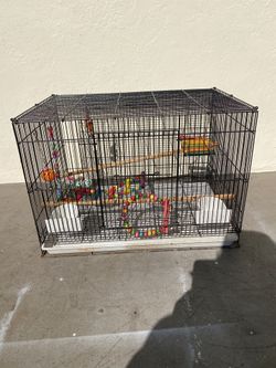 Bird cage 