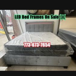 Queen & King Bed Frames Available 🚨 Ready For Delivery 