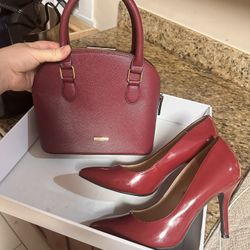 Aldo Bag And Shoes Sz8