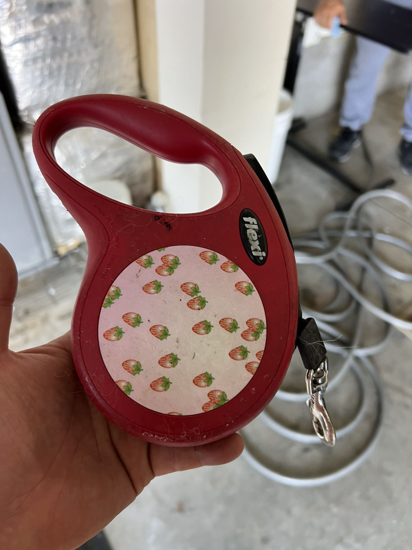 dog leash
