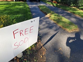 Free Sod *FREE*