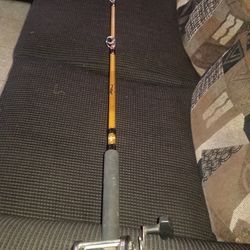 Fishing reel and rod combo