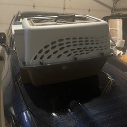 Pet Carrier