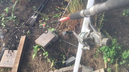 Eliminator Pole 9 Ft And Real Shakespeare Alpha  X050