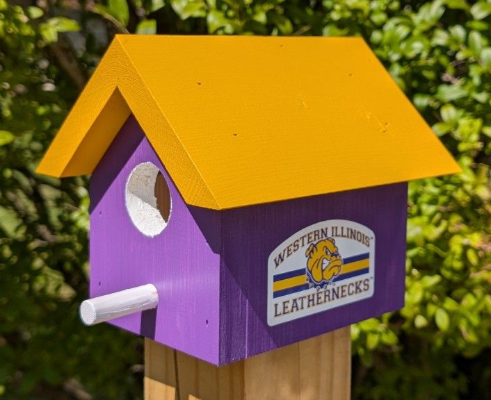 University Themed Bird Houses