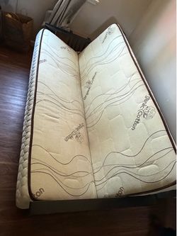 Sofa Bed