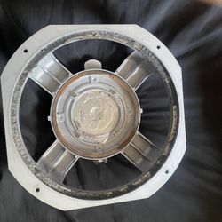 12' Woofer Cage And Driver