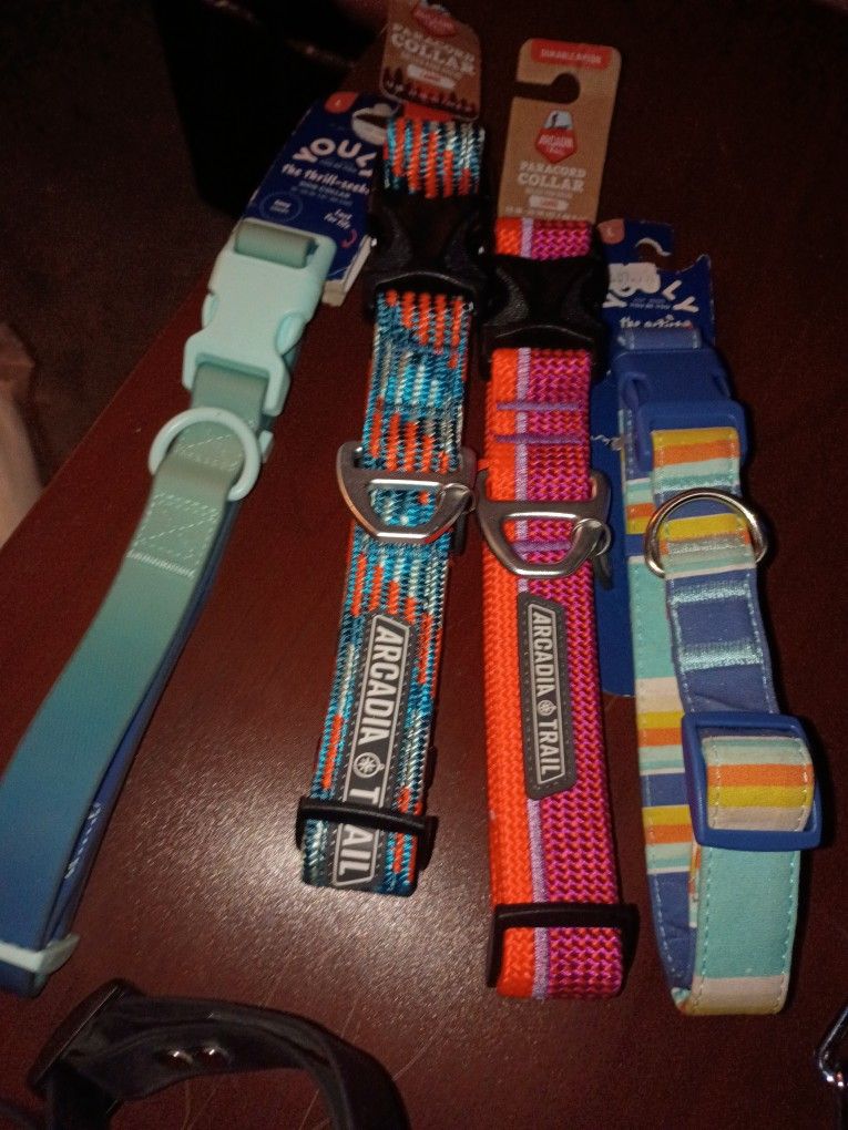 Dog Collars