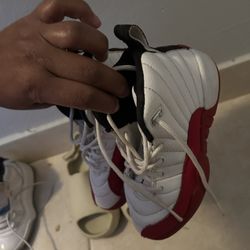 Jordan 12