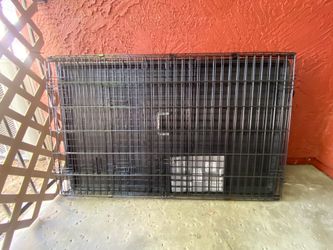 big dog crate