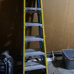 Ladder - 6ft Painter
