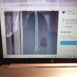 Dog Chain Collar