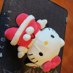NEW PLUSH W- TAG,   HELLO KITTY -   PICK ⛏️ UP ONLY