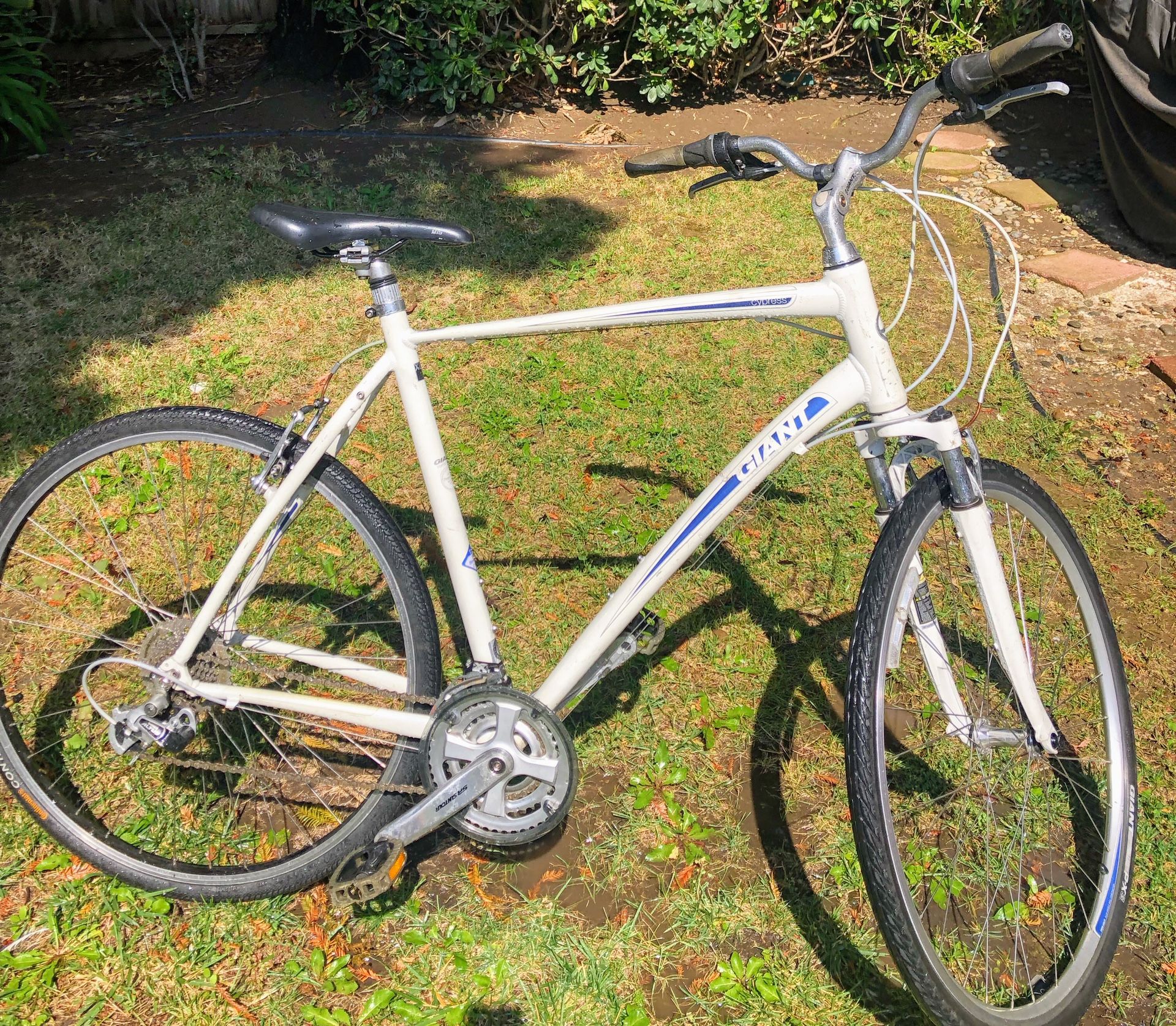 Hybrid Bike Cypress Bikes Giant Cypress Bike Hybrid
