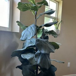  Artificial  Fig Tree, Including The Basket