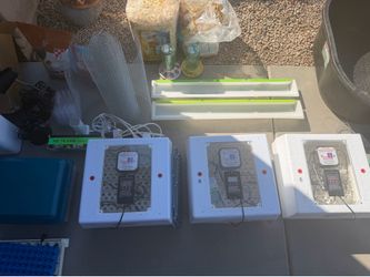 Hatching kit setup an much more bundle