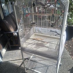 Bird  Cage