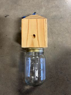 Carpenter Bee Traps