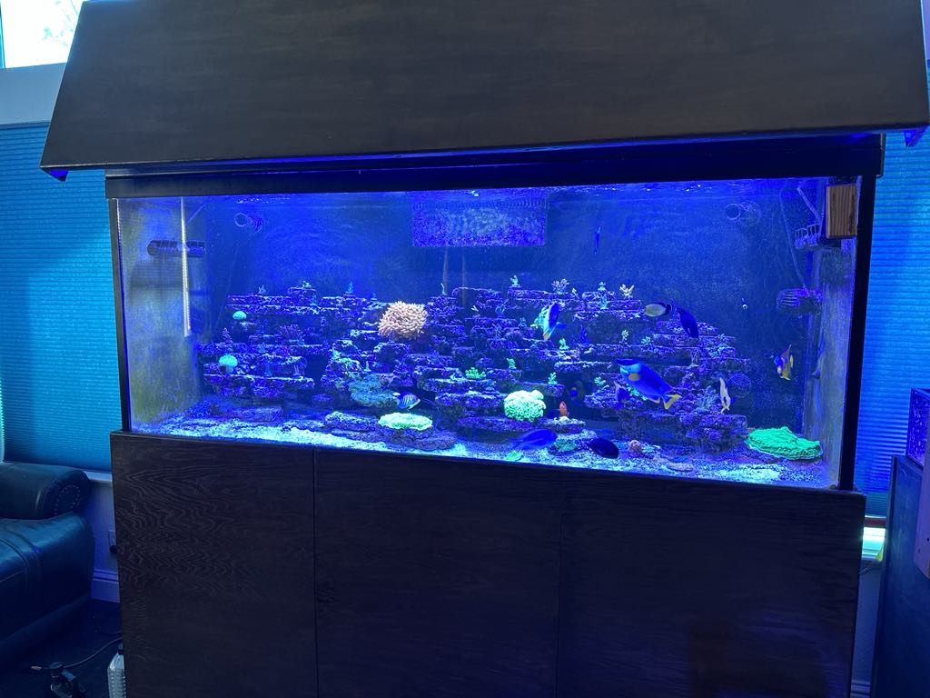 Saltwater Fish Tank Aquarium 210 Gallon