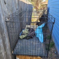Dog Cage