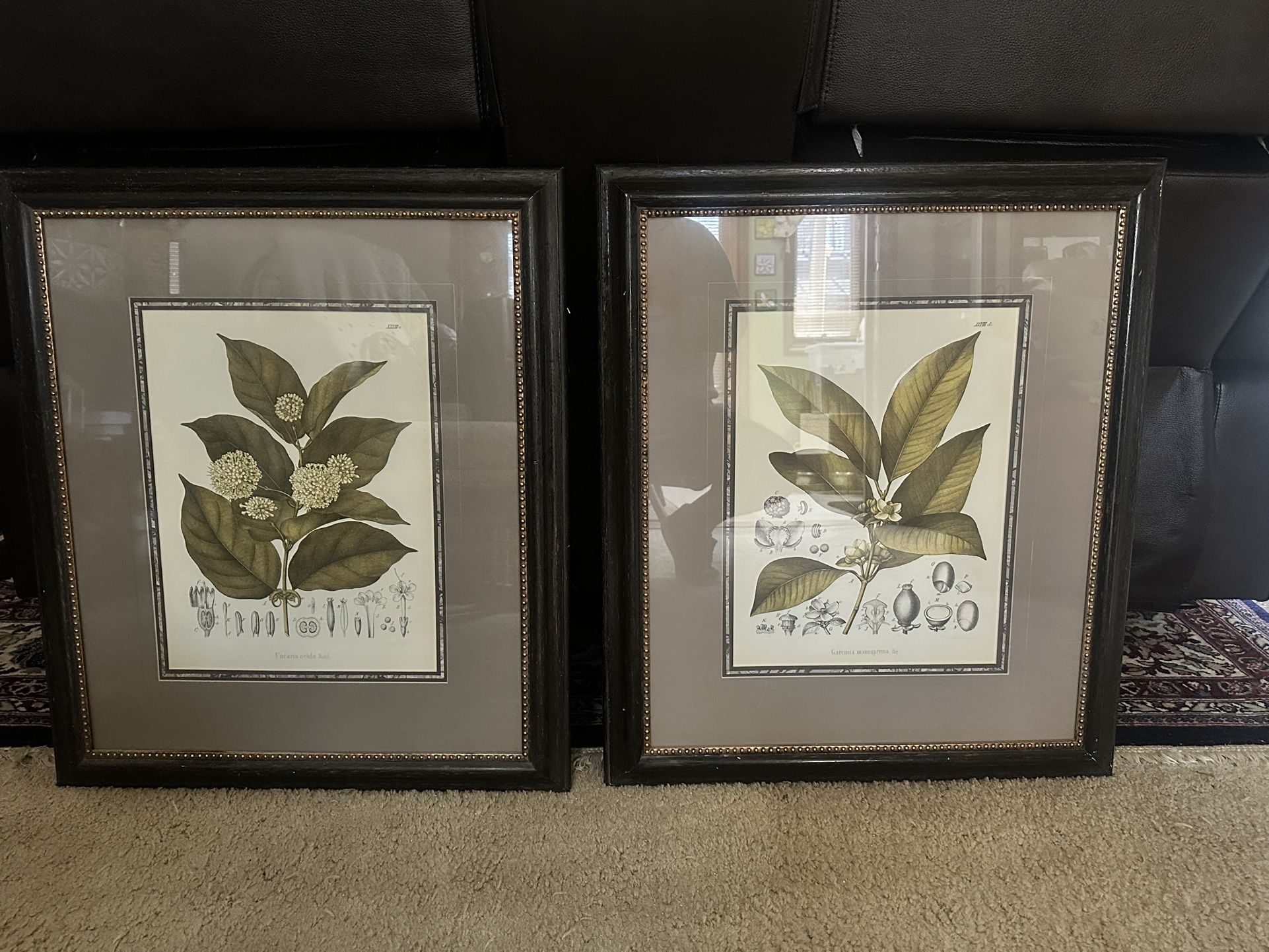 Living Room Pictures 