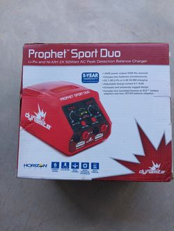 Rc car battery charger dual battery