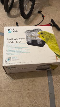 Parrot habitat Parrot habitat
