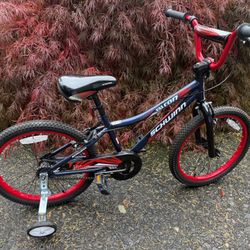 Bike 20” (Schwinn falcon)