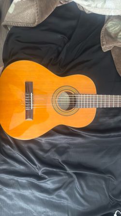 Epiphone Pro 1