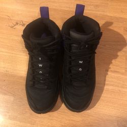 Jordan 12 Dark Concord