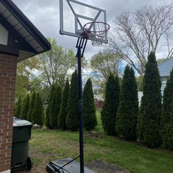 Lifetime Outdoor Basketball Hoop