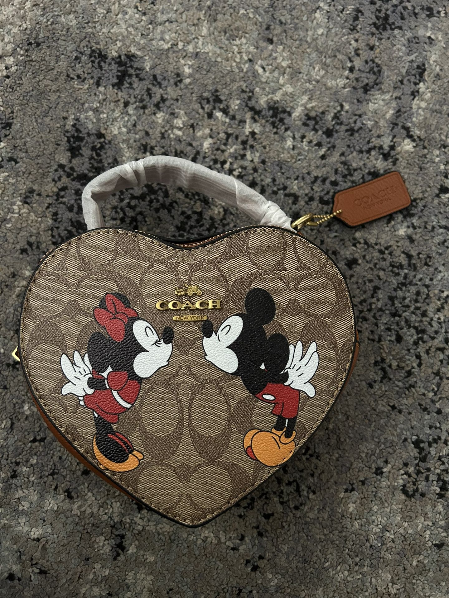 Minnie And Mickey Disney Coach 