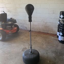 Punching Bag