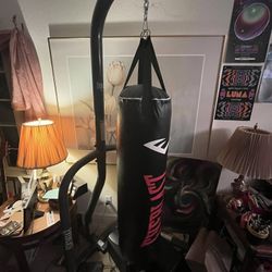 punching bag with stand