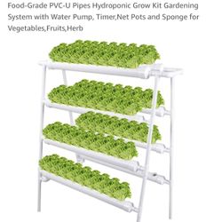 Hydroponics Growing System 