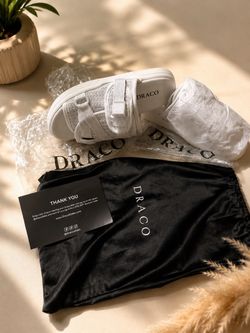 DRACO SLIDES