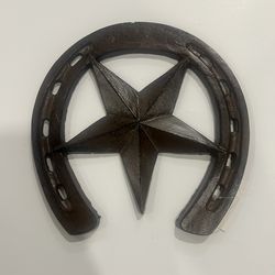 Star horse shoe stepping stone rustic