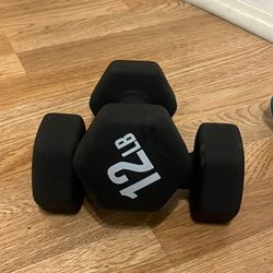12 Pound Dumbbells 